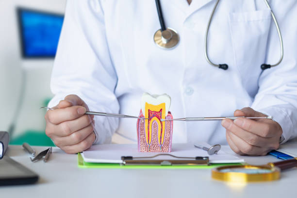 Best Emergency Tooth Extraction in Chester, WV